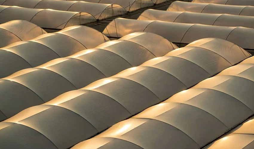 紫外线吸收剂在农业薄膜中的应用